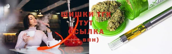 ГАЛЛЮЦИНОГЕННЫЕ ГРИБЫ Пестово