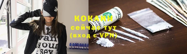 прущая мука Пересвет