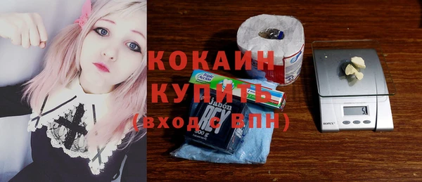 бошки Осинники
