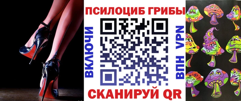 Купить где  Камызяк  Псилоцибиновые грибы Psilocybine cubensis 